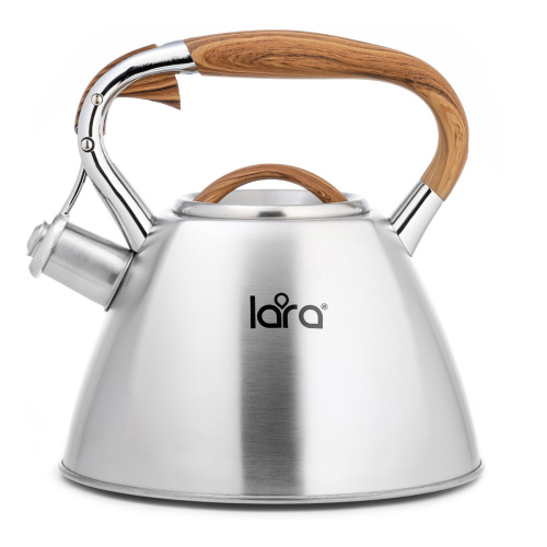 Чайник LARA LR00-66 зеркальный 2.8л