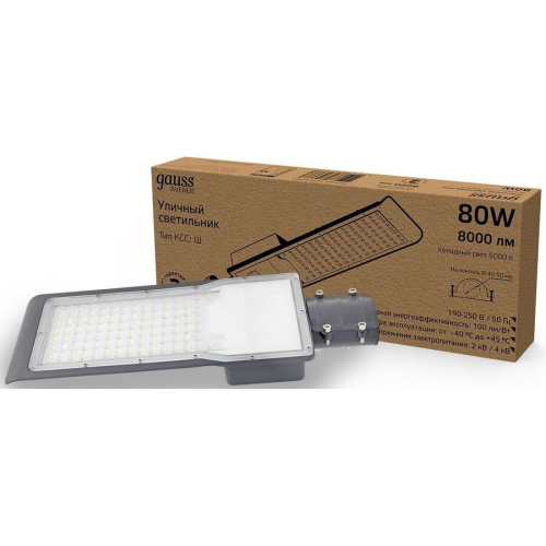 Светильник консольный Gauss 629534380 80Вт ламп.:100шт светодиод.лампа черный