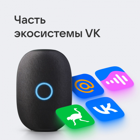 Умная Колонка Vk Капсула С Голосовым Помощником Марусей, Темно-Серая
