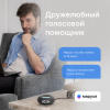 Умная Колонка Vk Капсула Мини С Голосовым Помощником Марусей, Темно-Серая