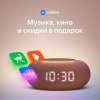 Умная Колонка Vk Капсула Мини С Голосовым Помощником Марусей, Терракотовая