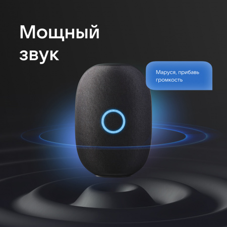Умная Колонка Vk Капсула С Голосовым Помощником Марусей, Темно-Серая