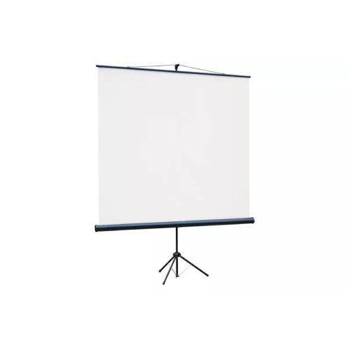 Экран Lumien Eco View (LEV-100112) White