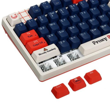 Клавиатура проводная A4Tech Bloody AT87 Renegade