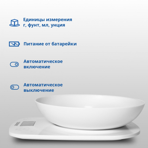 Кухонные весы ZELMER ZKS1460